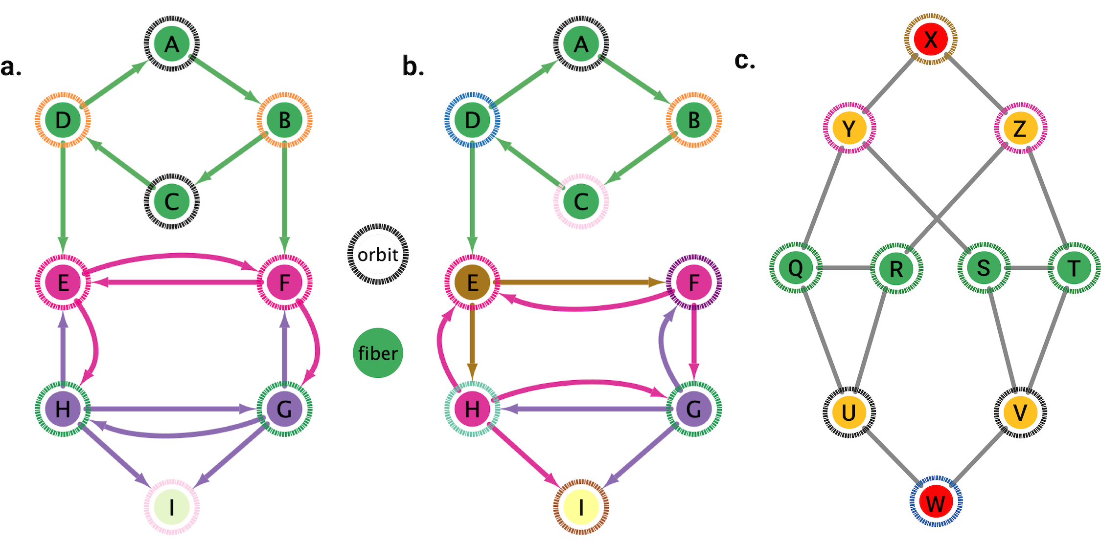 New C. elegans app for synchronization exploration